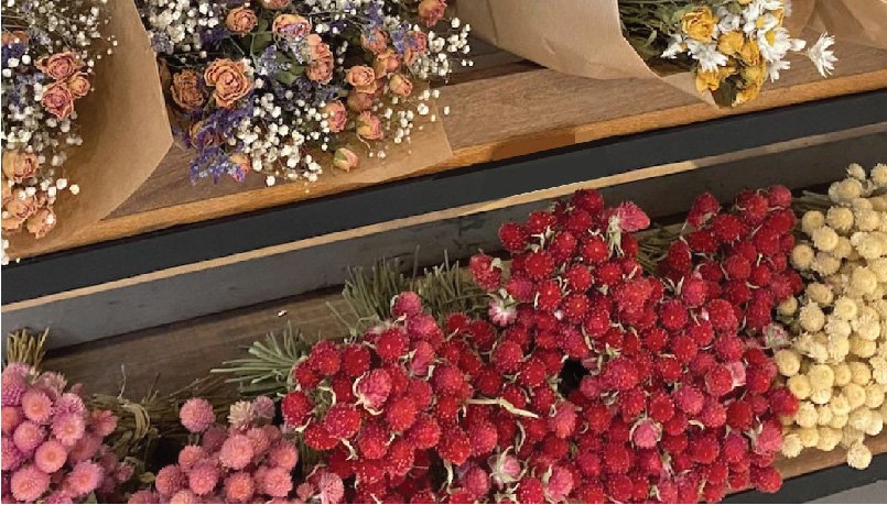 FLORES - Grace &amp; Co.
