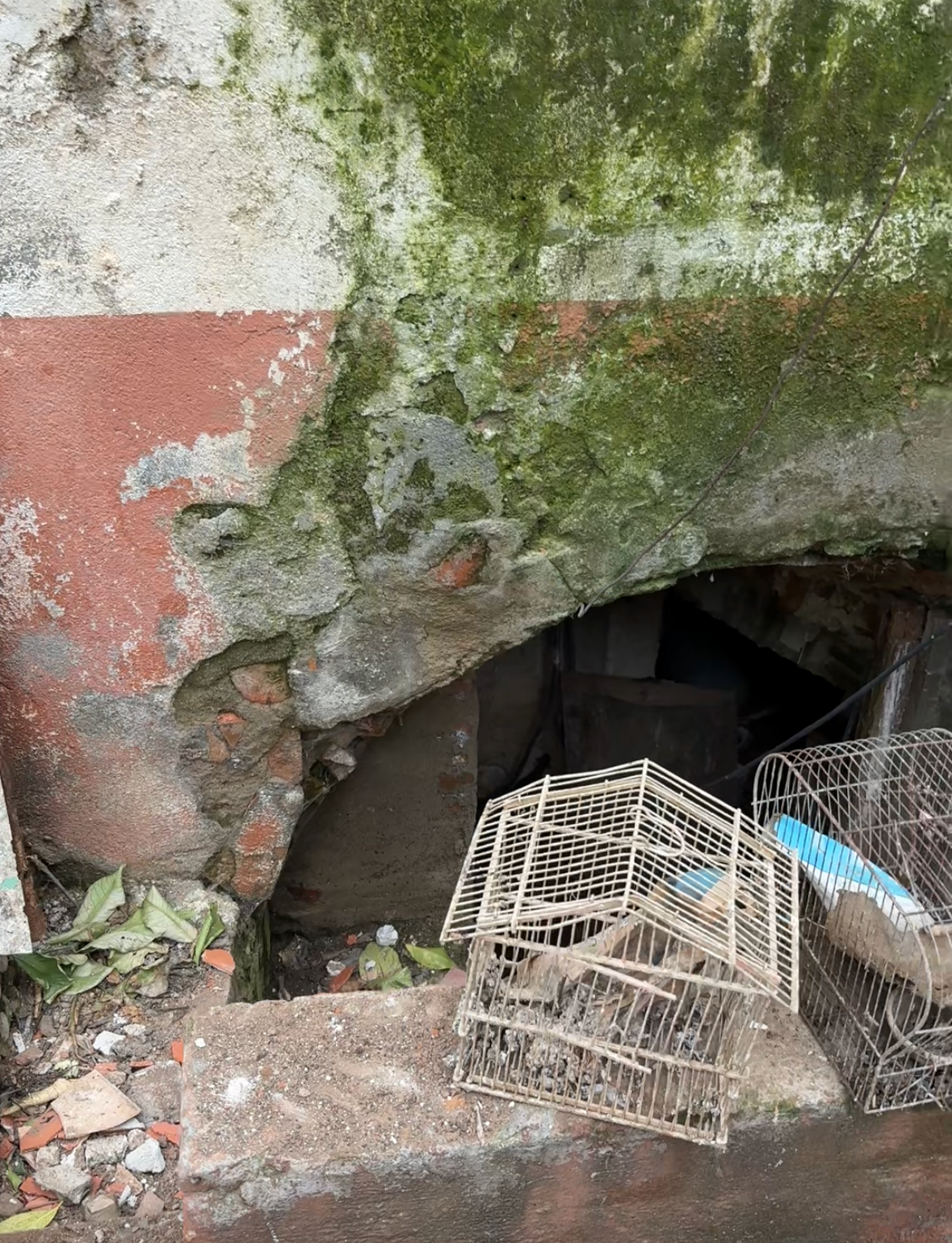 Ingreso a la cueva· Antes