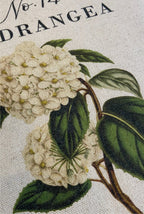 Cojín | Hortensia - Grace & Co.Cojín | HortensiaGrace & Co.