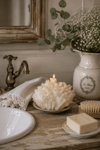 Coral | Vela - Grace & Co.Coral | VelaGrace & Co.