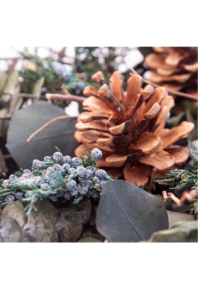 Corona | Enebro, Eucalipto y Piña - Grace & Co.Corona | Enebro, Eucalipto y PiñaGrace & Co.