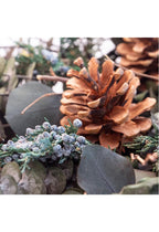 Corona | Enebro, Eucalipto y Piña - Grace & Co.Corona | Enebro, Eucalipto y PiñaGrace & Co.