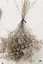 Gypsophila Paniculata - Grace & Co.Gypsophila PaniculataGrace & Co.