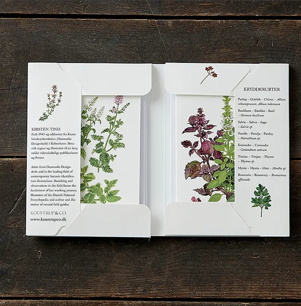 Herbs | Kit Tarjetas & Sobres - Grace & Co.Herbs | Kit Tarjetas & SobresGrace & Co.