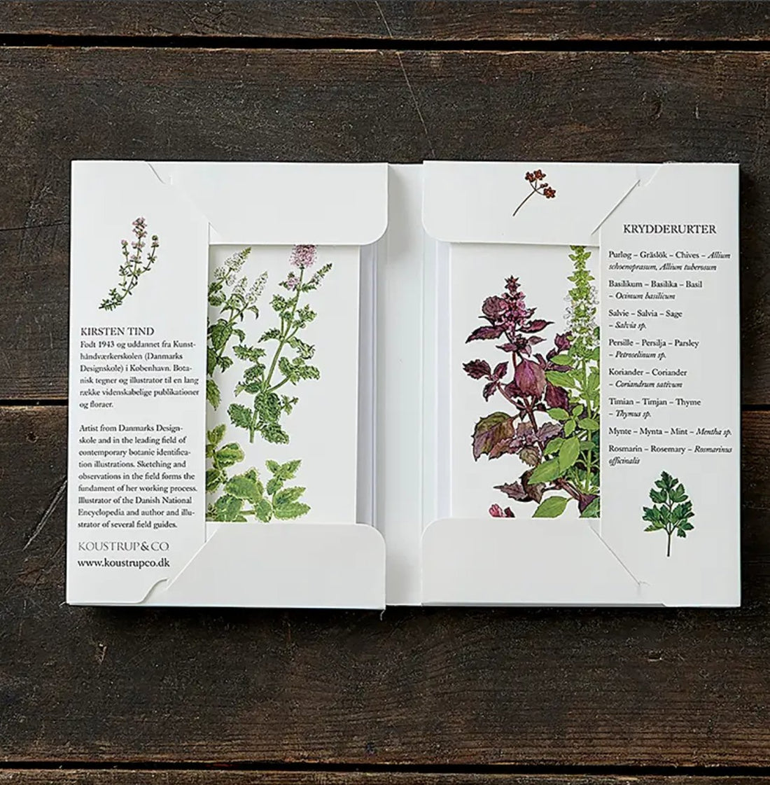 Herbs | Kit Tarjetas &amp; Sobres - Grace &amp; Co.Herbs | Kit Tarjetas &amp; SobresGrace &amp; Co.
