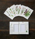 Herbs | Kit Tarjetas & Sobres - Grace & Co.Herbs | Kit Tarjetas & SobresGrace & Co.