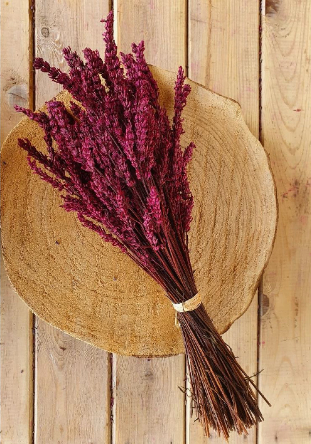 Lavanda | Malva - Grace & Co.Lavanda | MalvaGrace & Co.