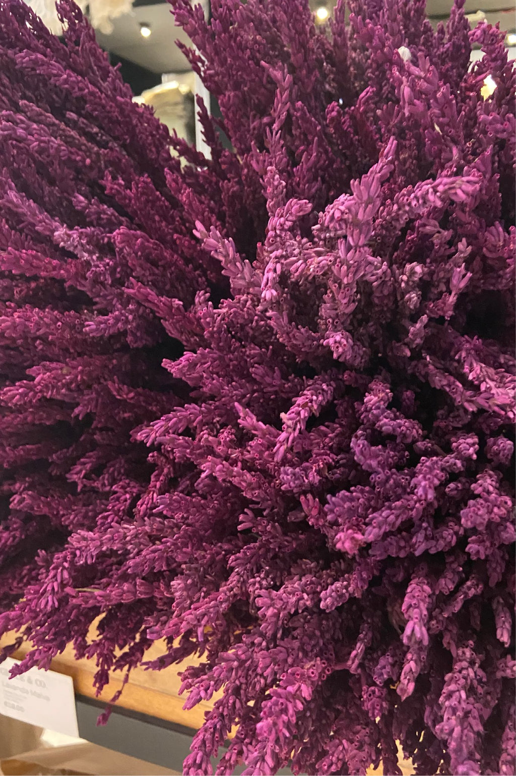 Lavanda | Malva - Grace & Co.Lavanda | MalvaGrace & Co.