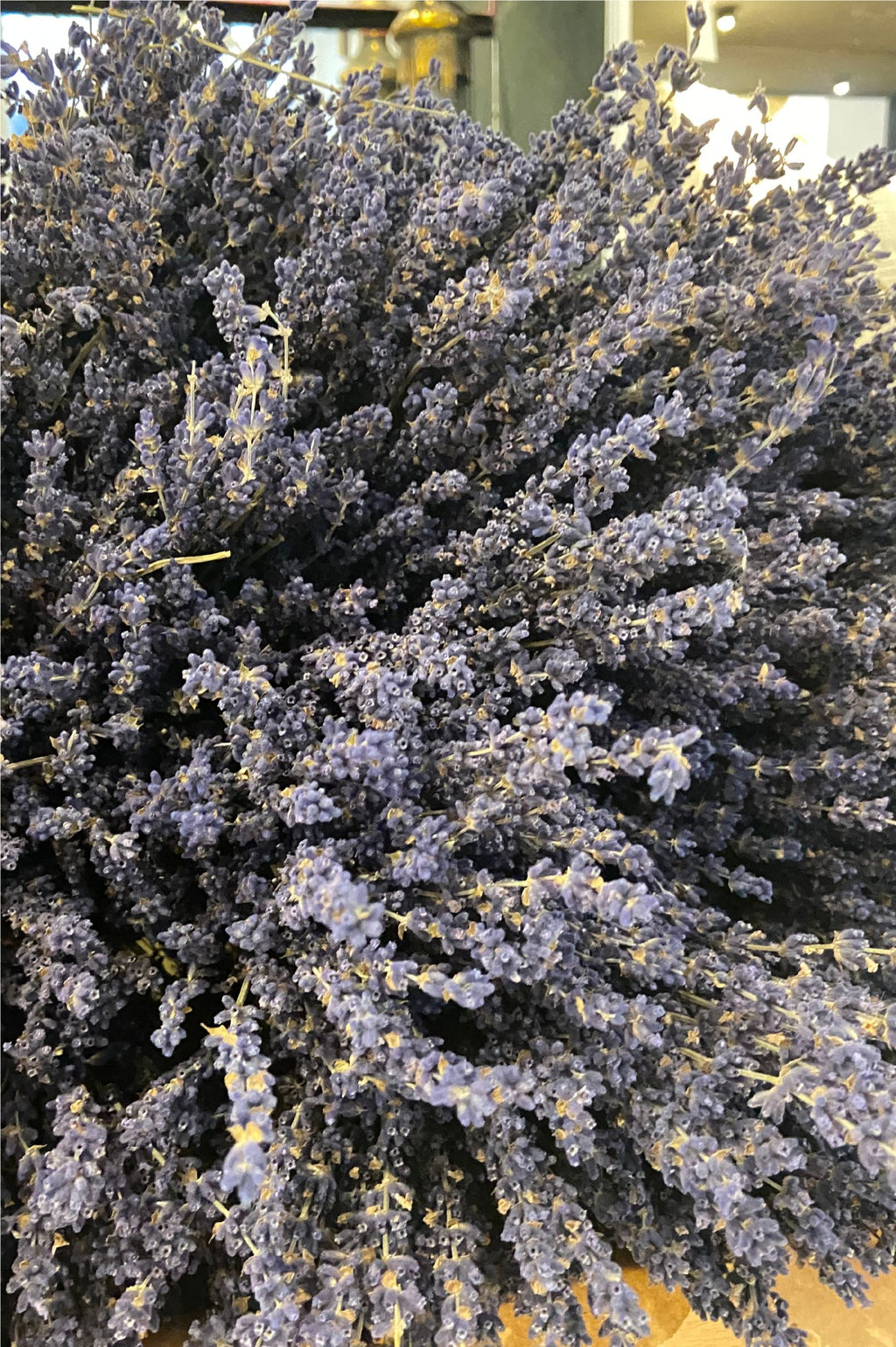 Lavanda | Natural - Grace & Co.Lavanda | NaturalGrace & Co.