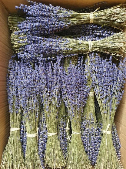 Lavanda | Natural - Grace &amp; Co.Lavanda | NaturalGrace &amp; Co.