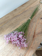 Limonium | Rosa - Grace & Co.Limonium | RosaGrace & Co.