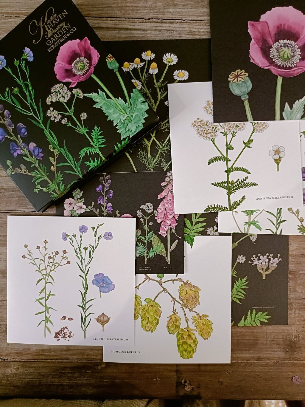 Monasterio | Kit Tarjetas & Sobres - Grace & Co.Monasterio | Kit Tarjetas & SobresGrace & Co.