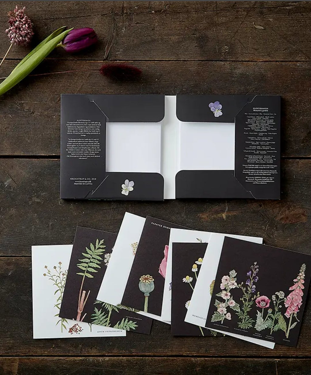 Monasterio | Kit Tarjetas & Sobres - Grace & Co.Monasterio | Kit Tarjetas & SobresGrace & Co.