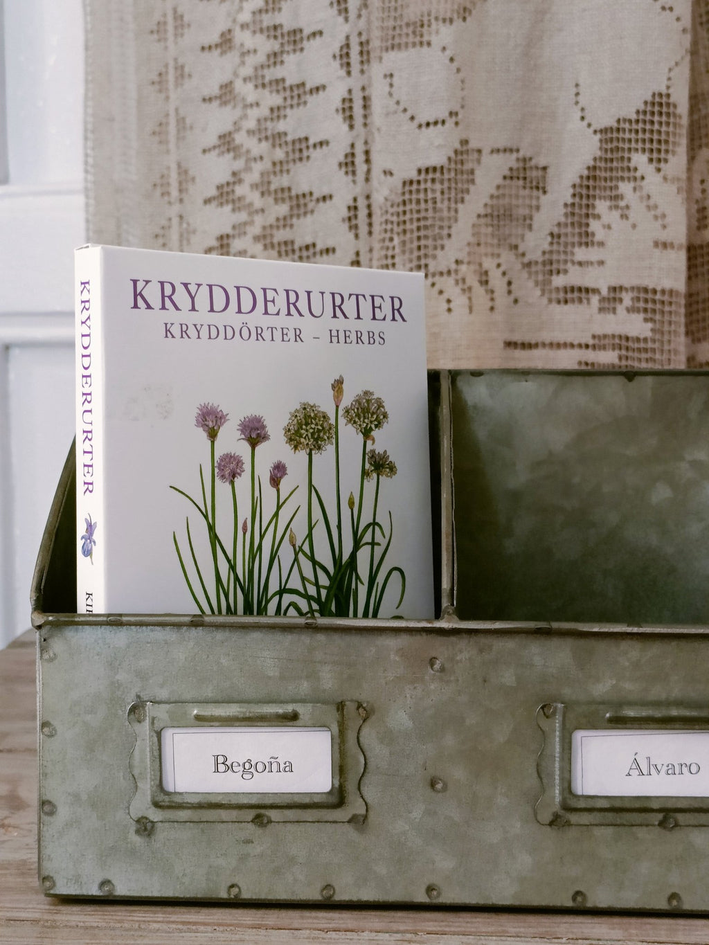 Organizador Galvanizado - Grace & Co.Organizador GalvanizadoGrace & Co.