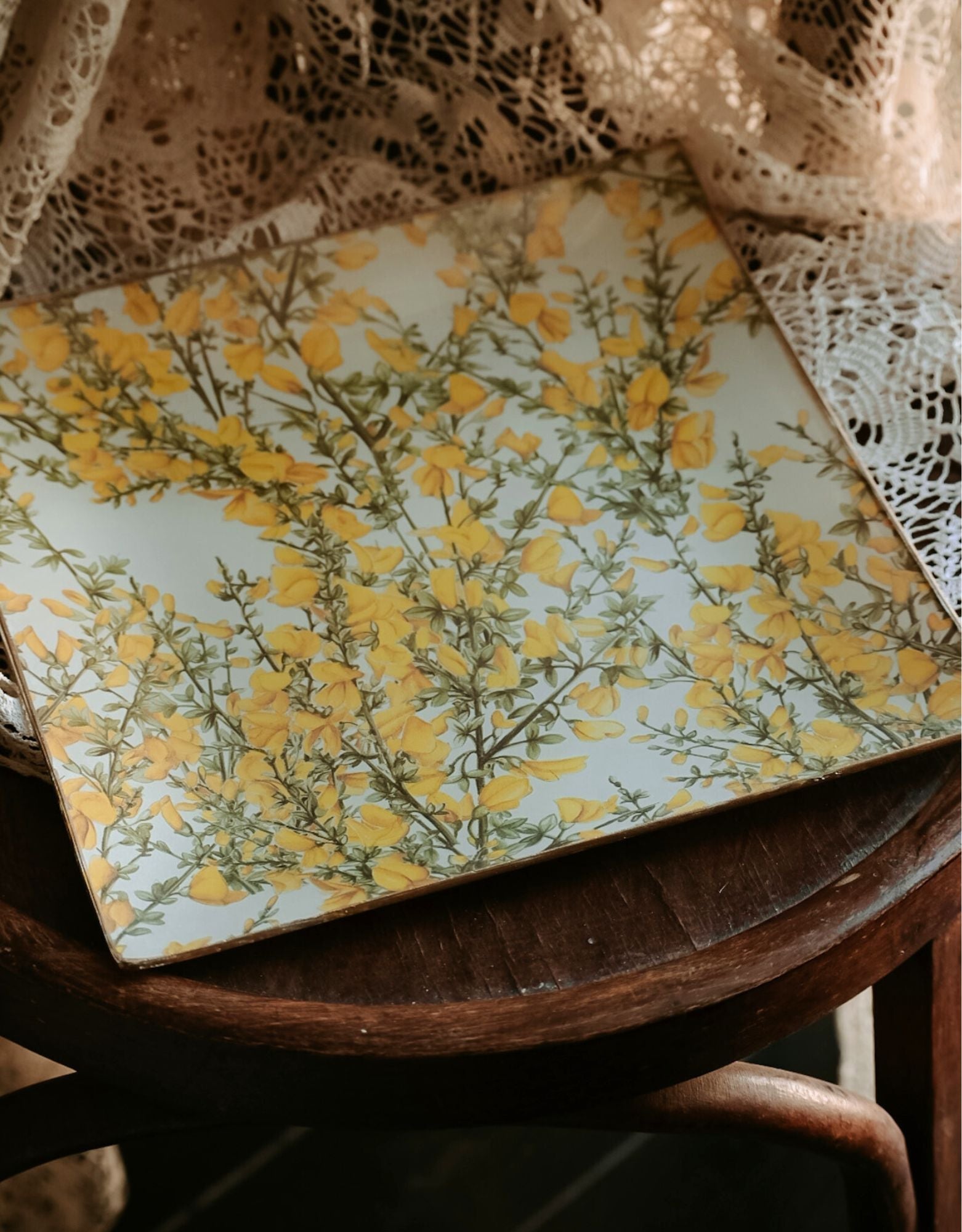 Plato Ginesta | Chiticris - Grace & Co.Plato Ginesta | ChiticrisGrace & Co.