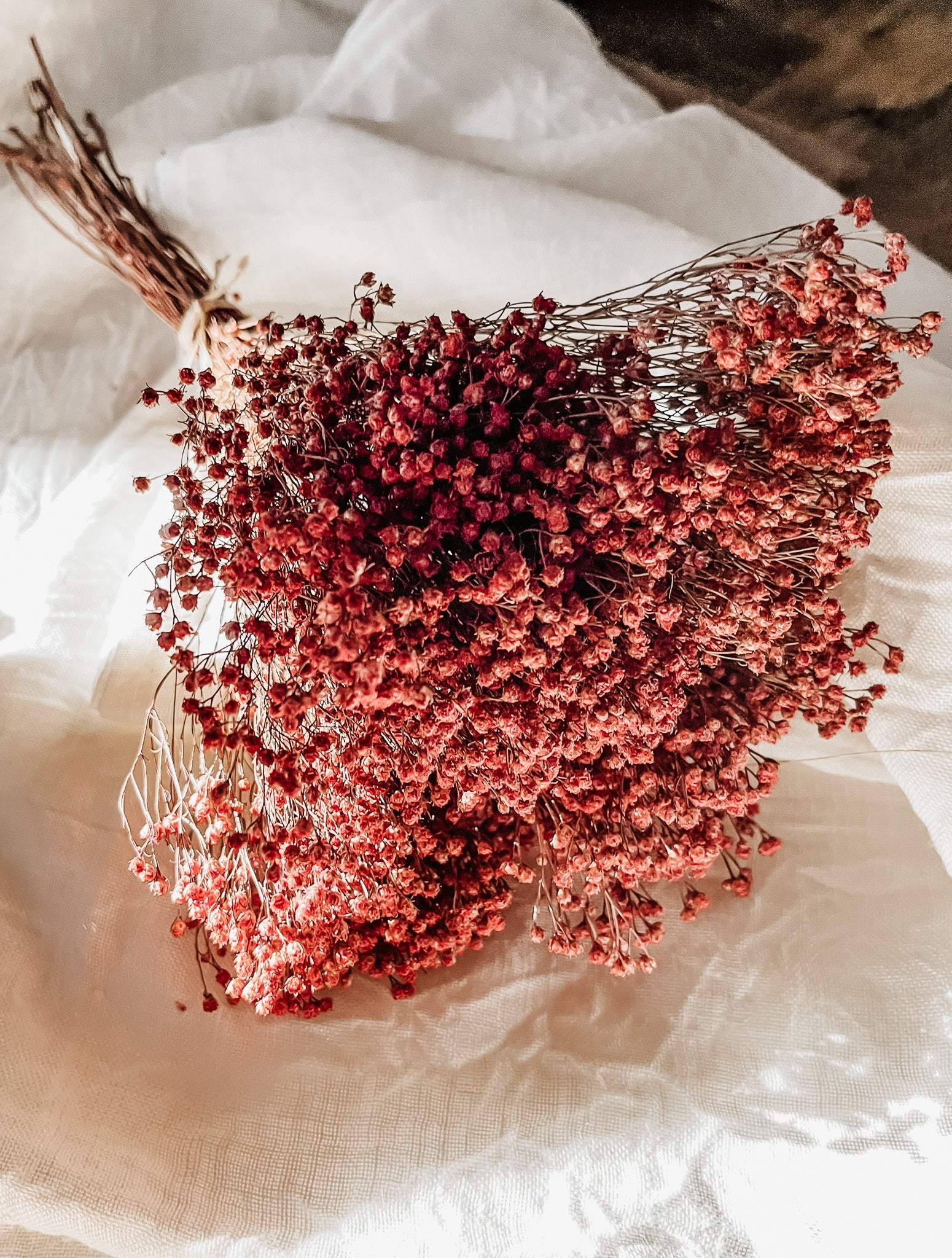 Ramo Juani | Broom - Grace & Co.Ramo Juani | BroomGrace & Co.