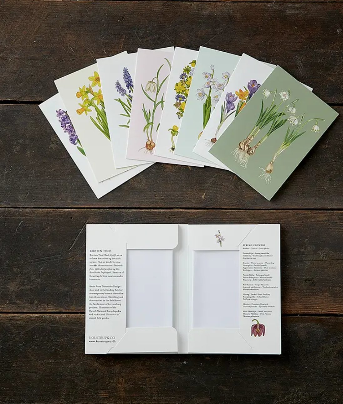 Spring Flowers | Kit Tarjetas &amp; Sobres - Grace &amp; Co.Spring Flowers | Kit Tarjetas &amp; SobresGrace &amp; Co.