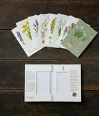 Spring Flowers | Kit Tarjetas & Sobres - Grace & Co.Spring Flowers | Kit Tarjetas & SobresGrace & Co.