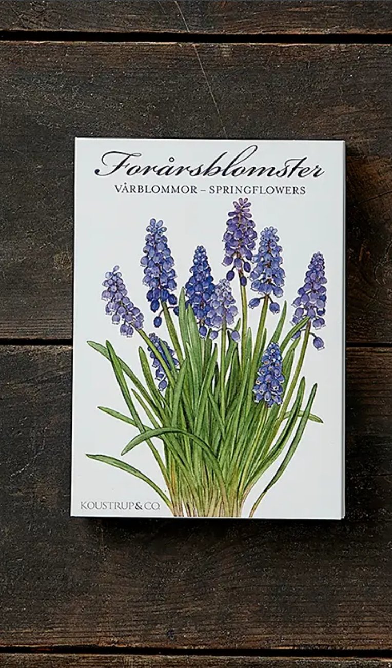 Spring Flowers | Kit Tarjetas &amp; Sobres - Grace &amp; Co.Spring Flowers | Kit Tarjetas &amp; SobresGrace &amp; Co.