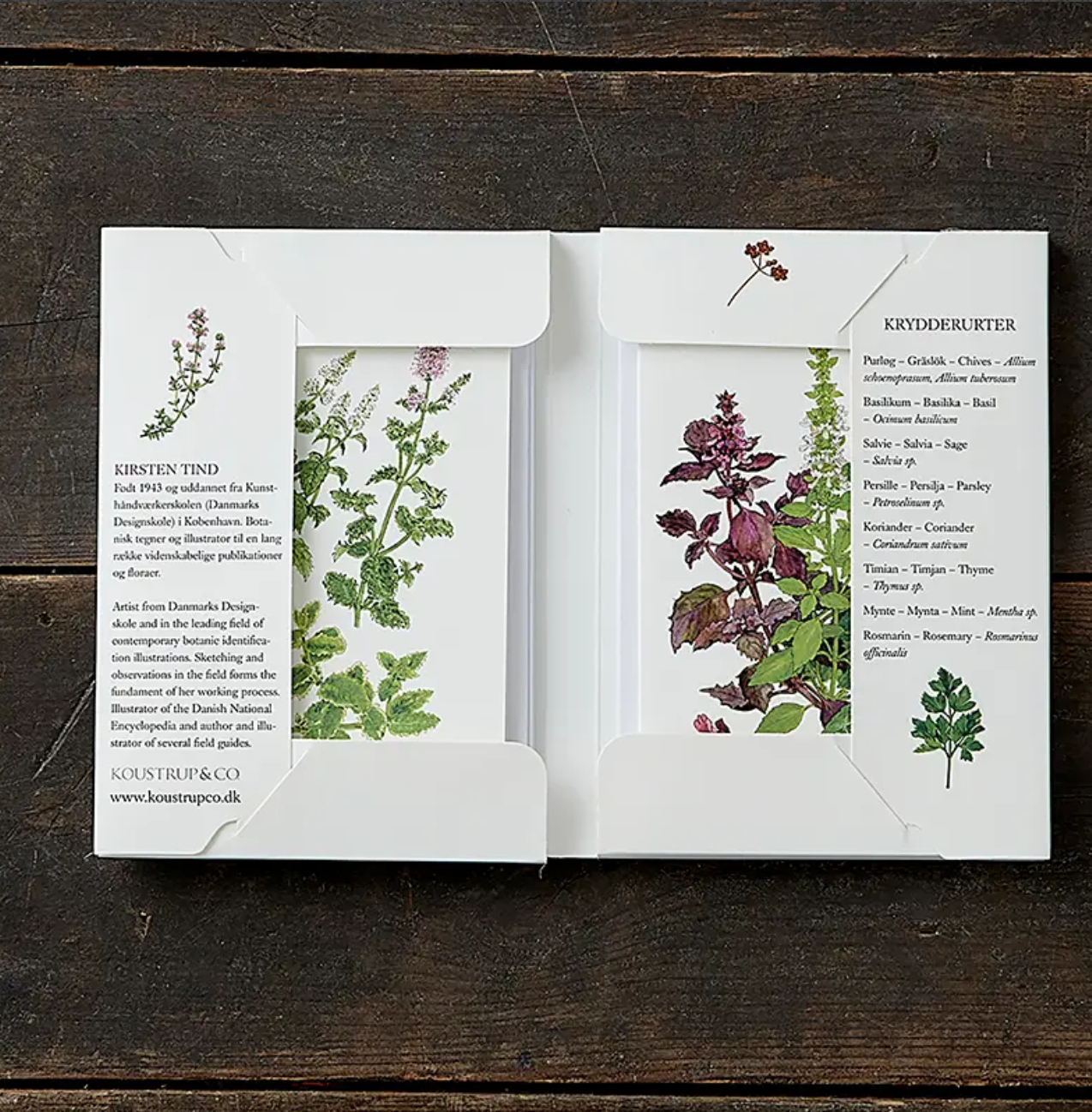 Herbs | Kit Tarjetas & Sobres